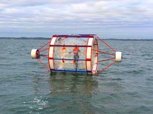 Zorbs at sea