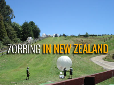 Zorbing In Rotorua New Zeeland